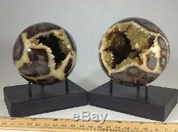 Top Quality Set Of Two Hollow Septarian Nodule Sphere from Ut