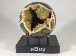 Top Quality Set Of Two Hollow Septarian Nodule Sphere from Ut