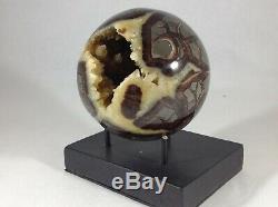 Top Quality Set Of Two Hollow Septarian Nodule Sphere from Ut