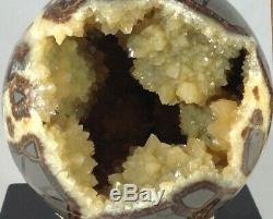 Top Quality Set Of Two Hollow Septarian Nodule Sphere from Ut