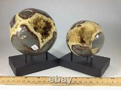Top Quality Set Of Two Hollow Septarian Nodule Sphere from Utah