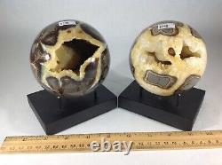 Top Quality Set Of Two Hollow Septarian Nodule Sphere from Utah