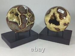 Top Quality Set Of Two Hollow Septarian Nodule Spheres from Utah