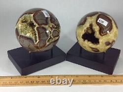 Top Quality Set Of Two Hollow Septarian Nodule Spheres from Utah