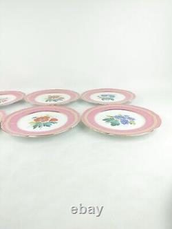 Two's Company Pink Red Blue Purple Flower Gold Rim Plates Porcelain Set