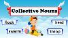 What Are Collective Nouns Definition And Examples Collective Nouns For Animals
