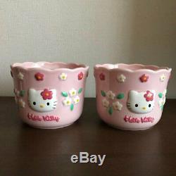 Bonjour Kitty Flower Kitty Flowerpot Pot De Fleurs Planteur Deux Séries 1997 Sanrio Retro