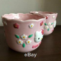 Bonjour Kitty Flower Kitty Flowerpot Pot De Fleurs Planteur Deux Séries 1997 Sanrio Retro