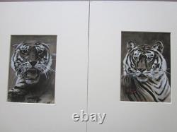 Deux frappantes peintures antiques de tigres vers 1904
