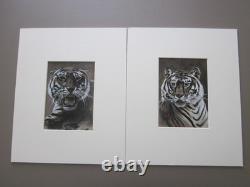 Deux frappantes peintures antiques de tigres vers 1904