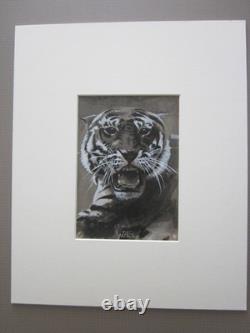 Deux frappantes peintures antiques de tigres vers 1904