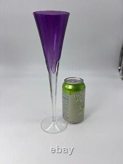 Élégant ensemble de deux flûtes à champagne hautes en cristal Waterford Eclipse