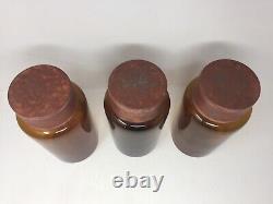 Ensemble de 3 bouteilles d'apothicaire en ambre Alchemy de la marque Two's Company avec couvercles en métal Graines