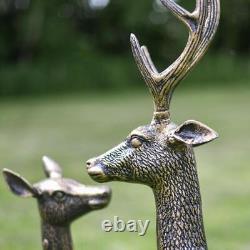 Ensemble de deux sculptures de jardin en forme de cerf élaphe tacheté, mâle et femelle.