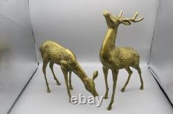Grand Laiton Buck And Doe Deer Paire Vintage Figurines/sculptures Ensemble De Deux Décor