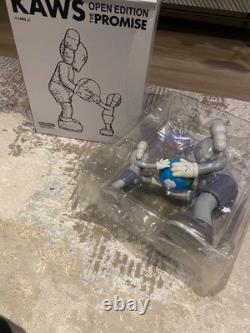 Kaws Édition Ouverte La Promesse Ensemble de Deux Figurines Offrir au Monde Nouveau
