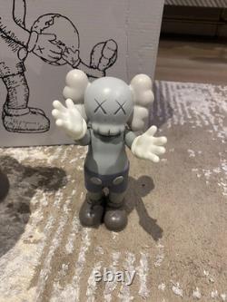 Kaws Édition Ouverte La Promesse Ensemble de Deux Figurines Offrir au Monde Nouveau