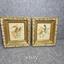 Rare ensemble vintage de deux lithographies d’oiseaux de Rudolf Freund dans des cadres dorés