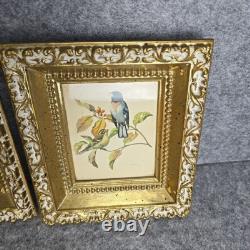Rare ensemble vintage de deux lithographies d’oiseaux de Rudolf Freund dans des cadres dorés