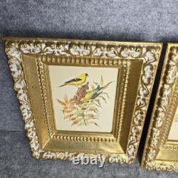 Rare ensemble vintage de deux lithographies d’oiseaux de Rudolf Freund dans des cadres dorés
