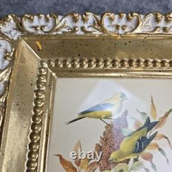 Rare ensemble vintage de deux lithographies d’oiseaux de Rudolf Freund dans des cadres dorés