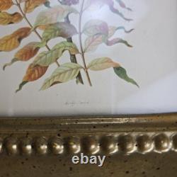 Rare ensemble vintage de deux lithographies d’oiseaux de Rudolf Freund dans des cadres dorés