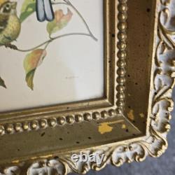 Rare ensemble vintage de deux lithographies d’oiseaux de Rudolf Freund dans des cadres dorés