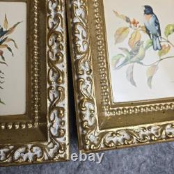 Rare ensemble vintage de deux lithographies d’oiseaux de Rudolf Freund dans des cadres dorés