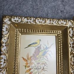 Rare ensemble vintage de deux lithographies d’oiseaux de Rudolf Freund dans des cadres dorés