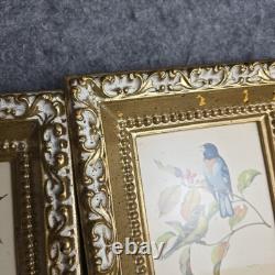Rare ensemble vintage de deux lithographies d’oiseaux de Rudolf Freund dans des cadres dorés