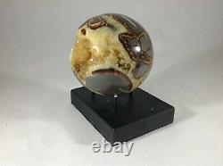 Top Quality Set Of Two Hollow Septarian Nodule Sphere From Utah