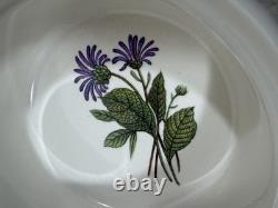 Villeroy Boch Botanica Duchesse Ensemble de 6 ramequins avec support floral Luxembourg vintage
